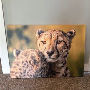 Cheetah Canvas Art, large print